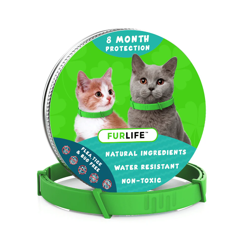 Natural Flea And Tick Protection For Dogs