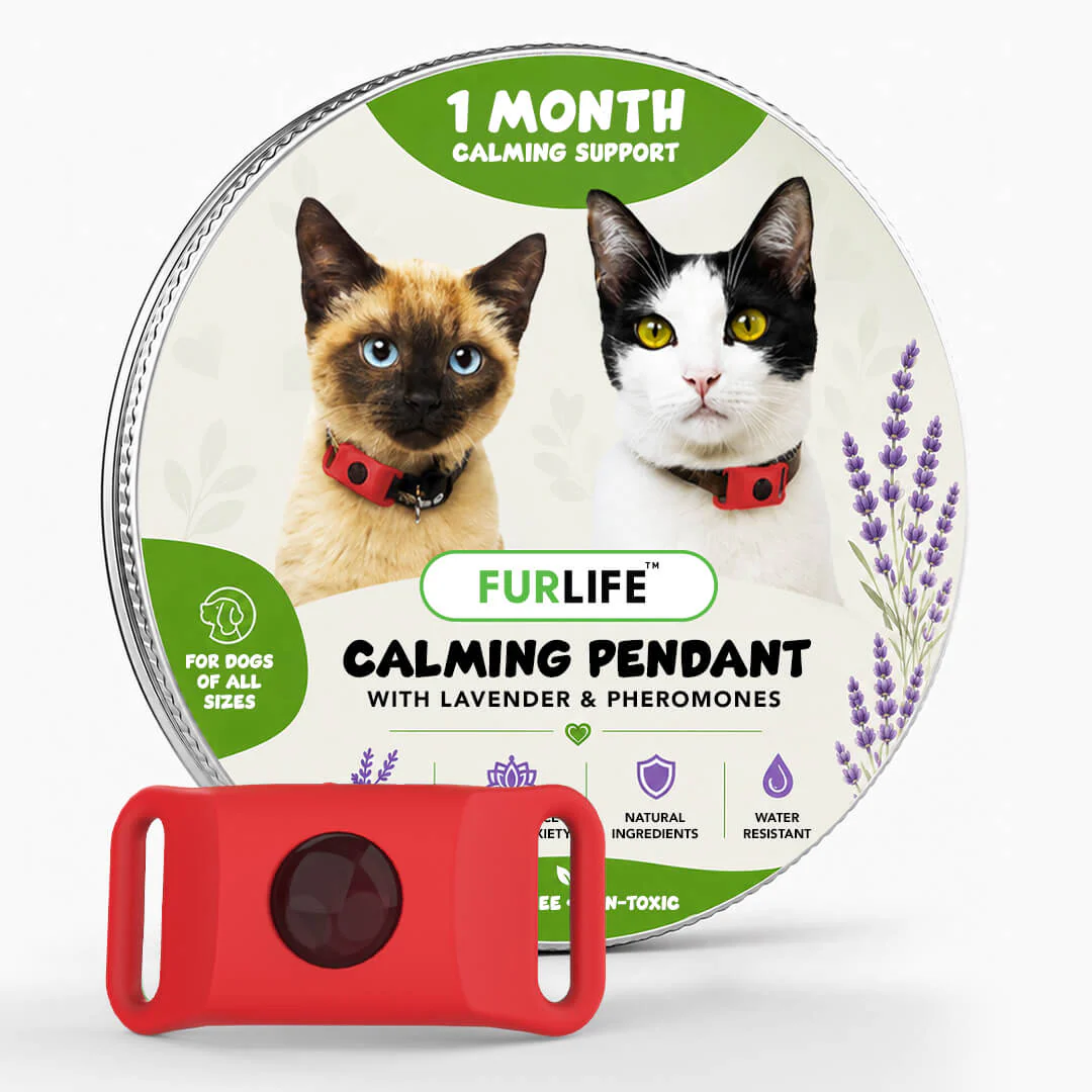 FurLife™ Calm & Comfort Cat Pendant - Image 9