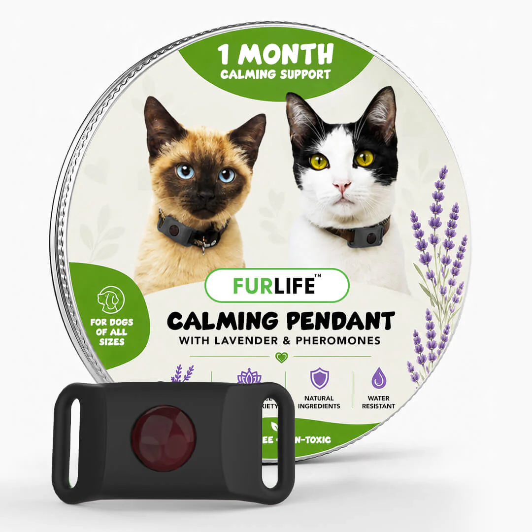 FurLife™ Calm & Comfort Cat Pendant - Image 10