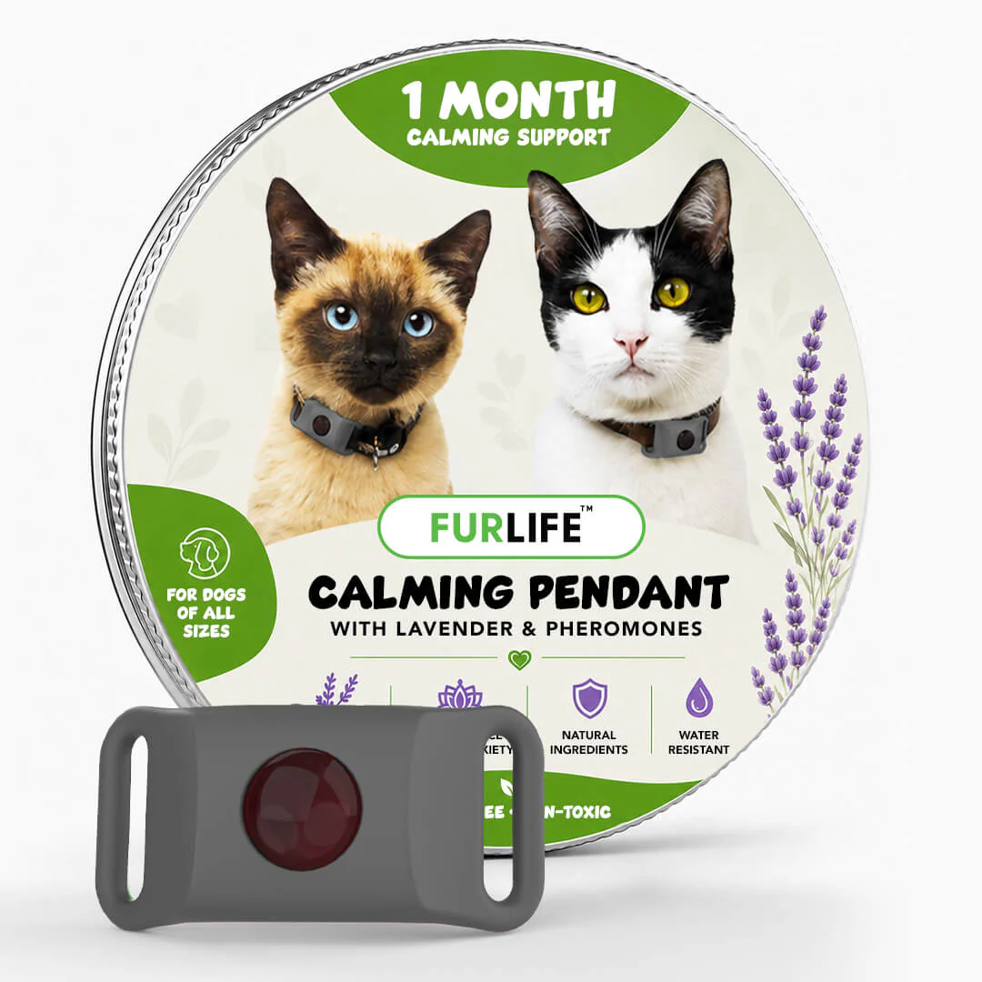 FurLife™ Calm & Comfort Cat Pendant - Image 11