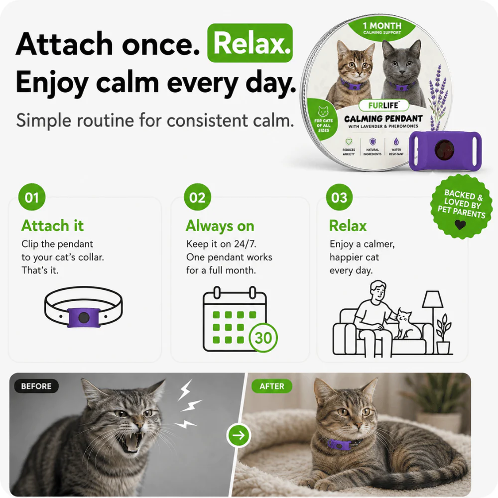 FurLife™ Calm & Comfort Cat Pendant - Image 3