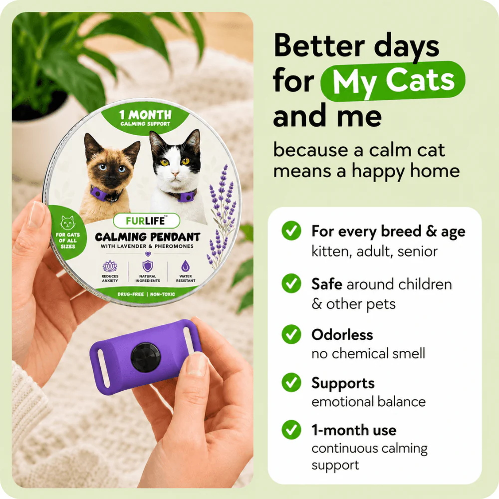 FurLife™ Calm & Comfort Cat Pendant - Image 6