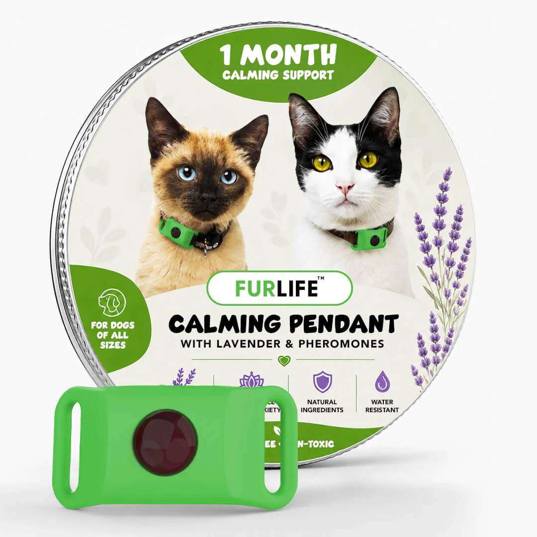 FurLife™ Calm & Comfort Cat Pendant - Image 7
