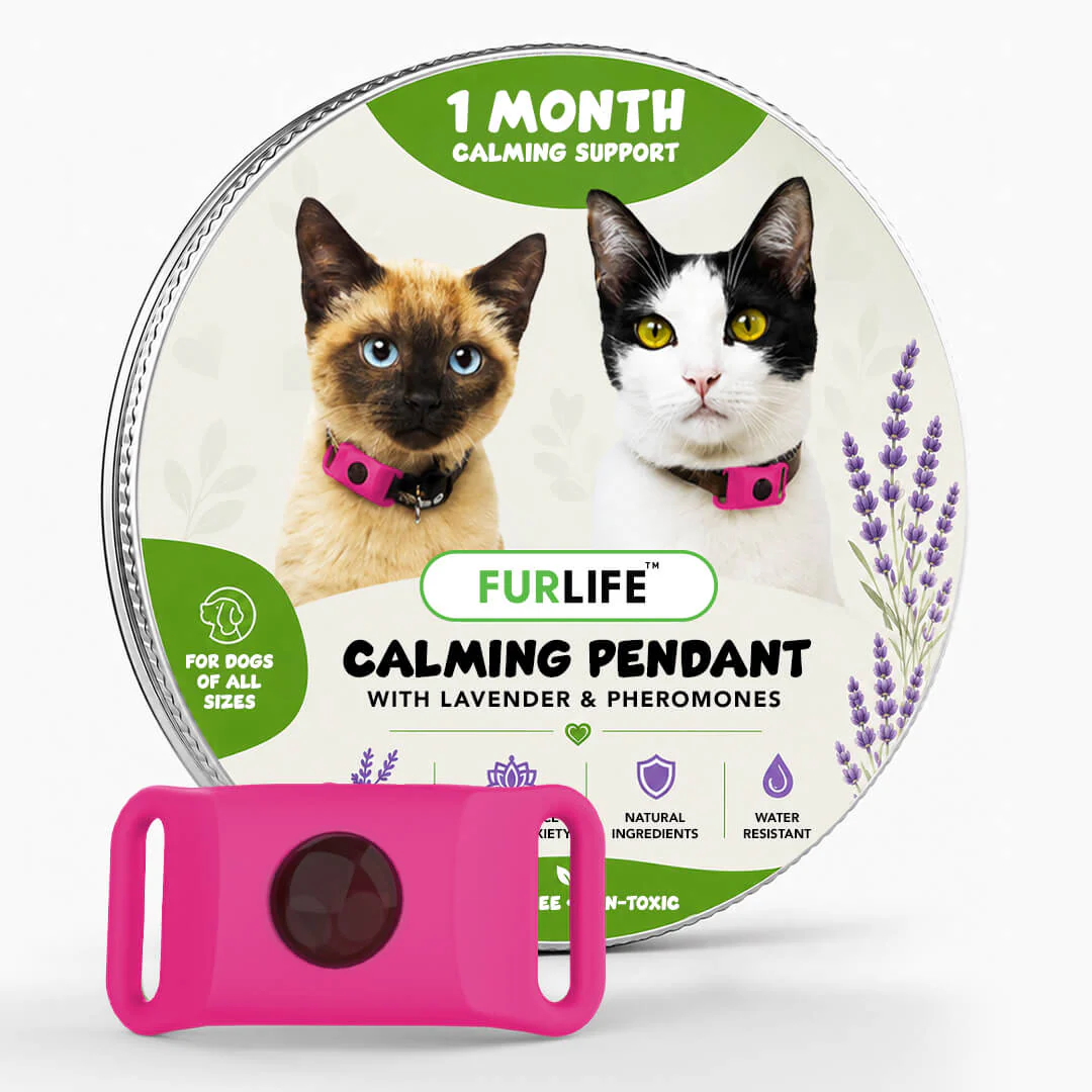 FurLife™ Calm & Comfort Cat Pendant - Image 8