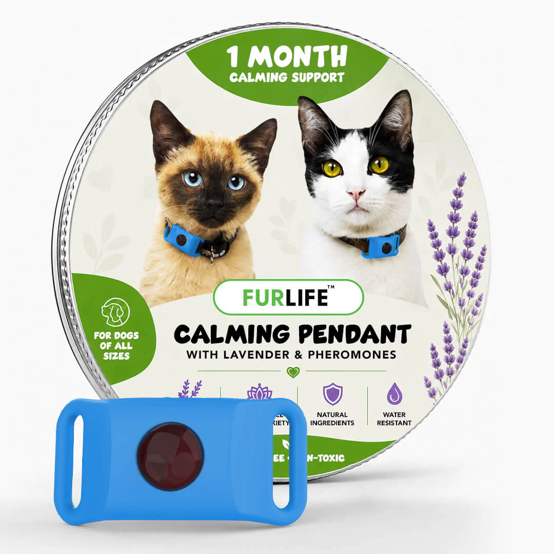 FurLife™ Calm & Comfort Cat Pendant - Image 12