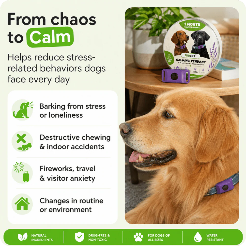 FurLife™ 1 Month Calm & Comfort - Image 2