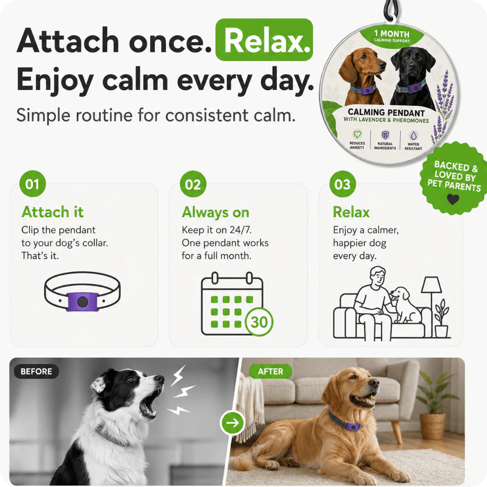FurLife™ 1 Month Calm & Comfort - Image 3