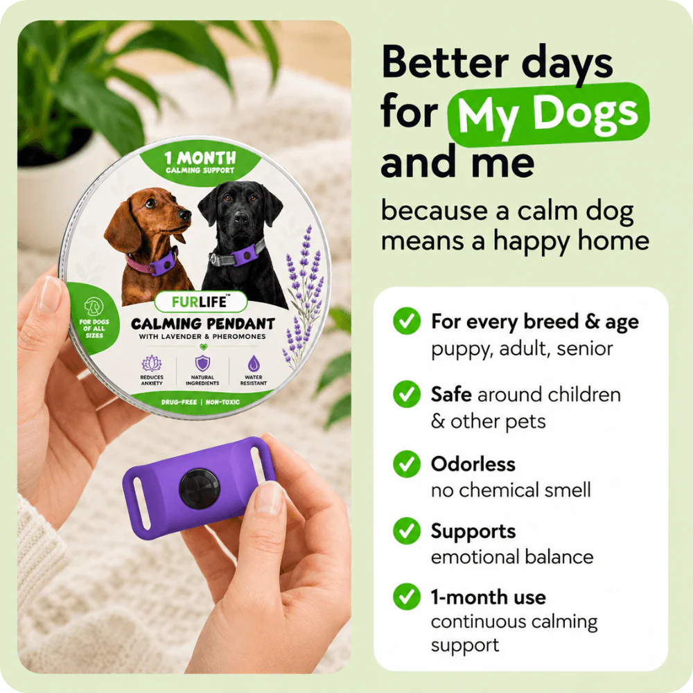FurLife™ 1 Month Calm & Comfort - Image 6