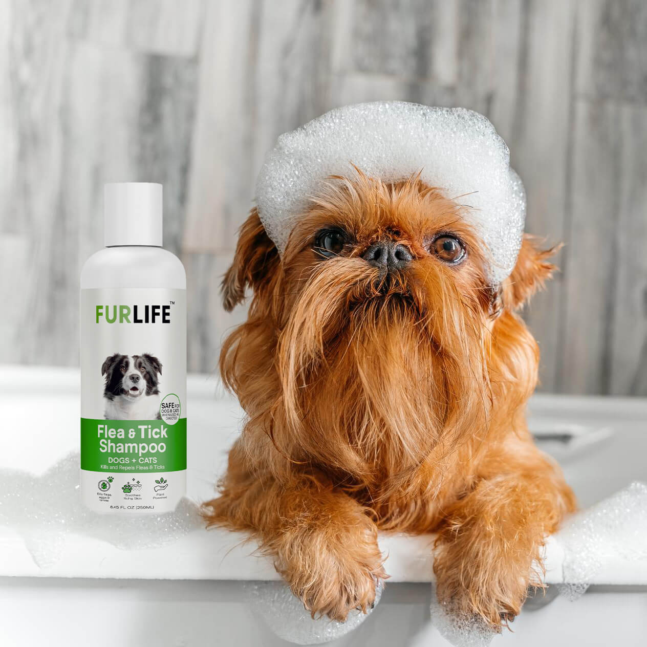 FurLife™ - Flea & Tick Shampoo for Dogs - Image 3