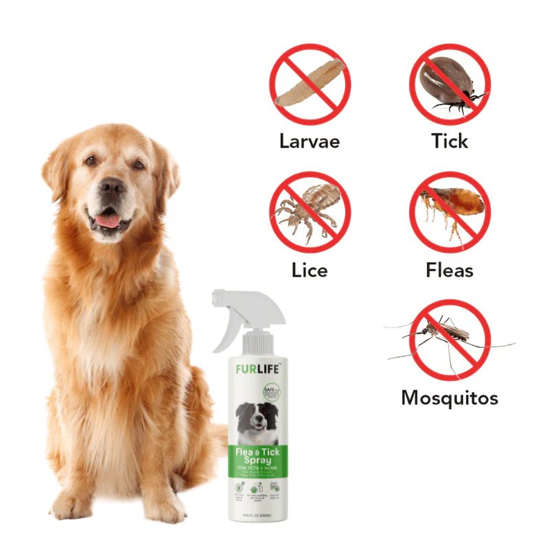 FurLife™ - All Natural Flea & Tick Spray for Dogs and Cats - Image 3