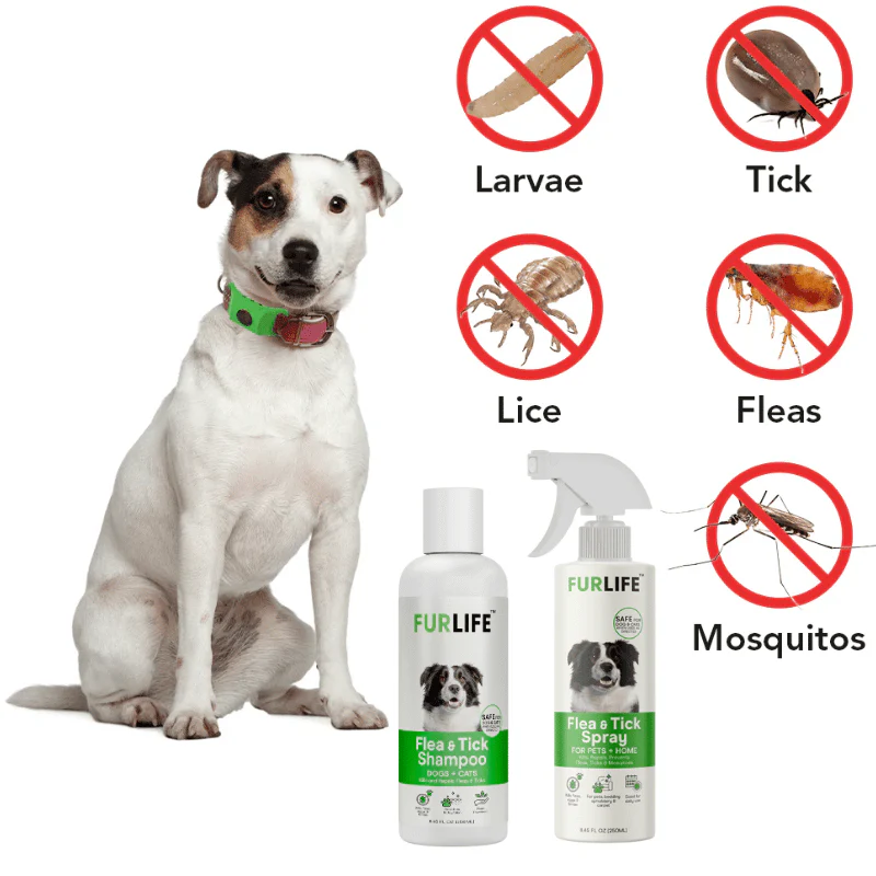 FurLife™ - Full Protection Bundle - Image 2