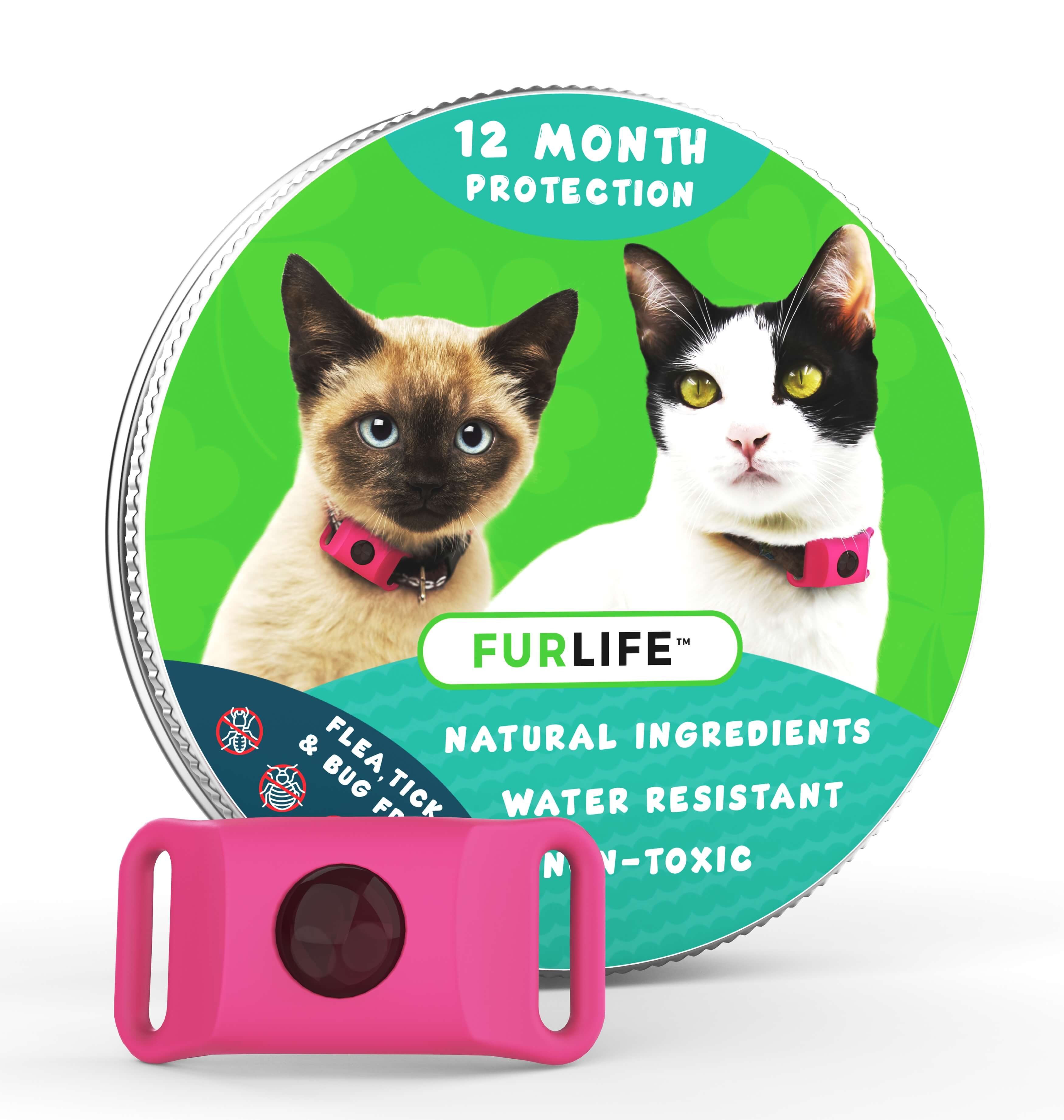 FurLife™ - 12 Months All Natural Flea and Tick Tags for Cats - Image 4