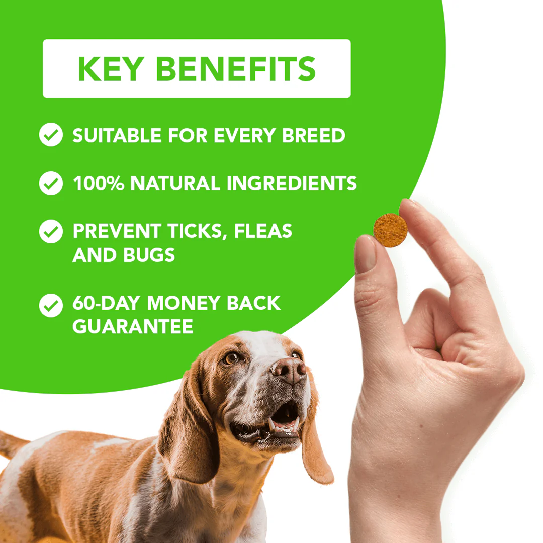 FurLife™ - All Natural Flea & Tick Defense Chews for Dogs - Image 4