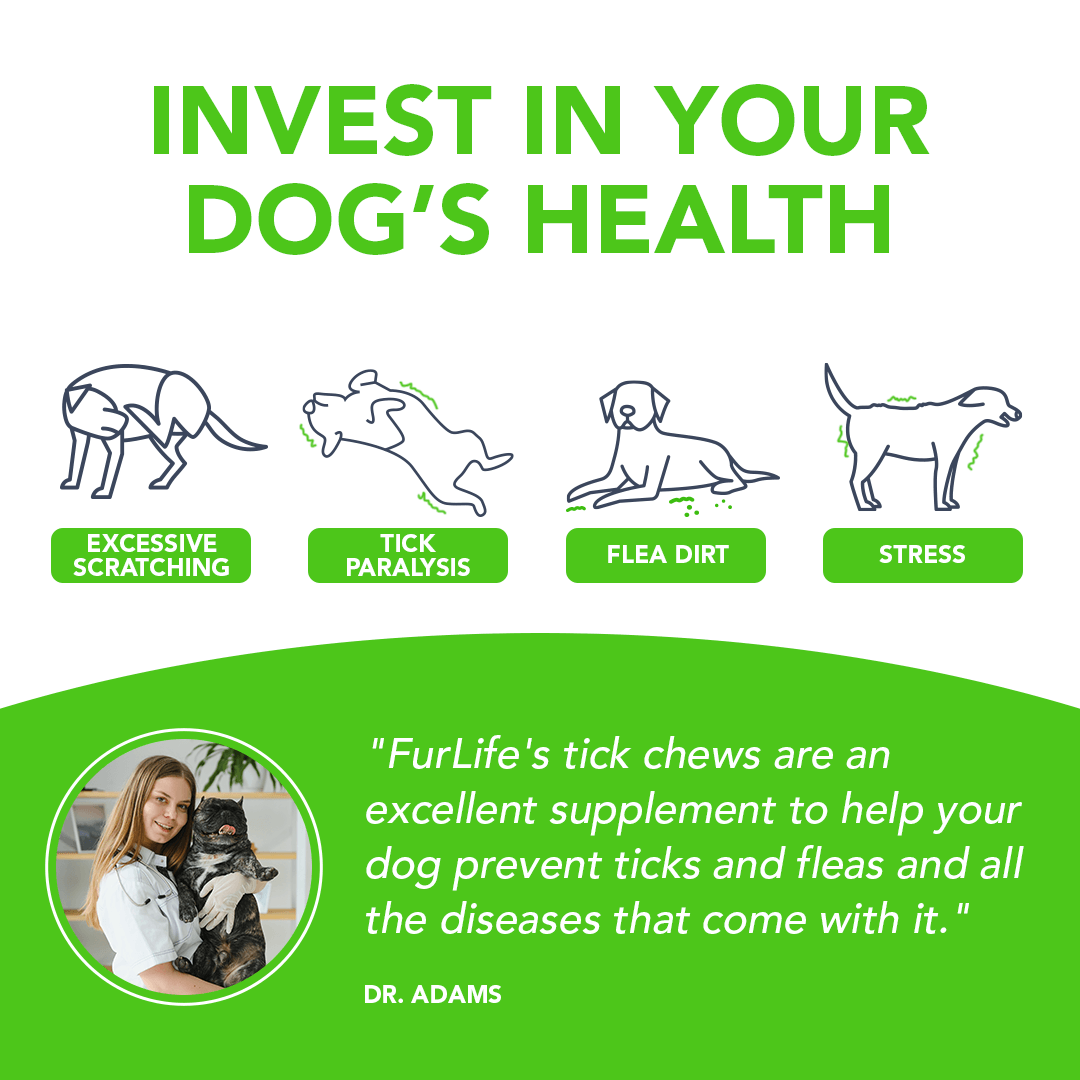 FurLife™ - All Natural Flea & Tick Defense Chews for Dogs - Image 5