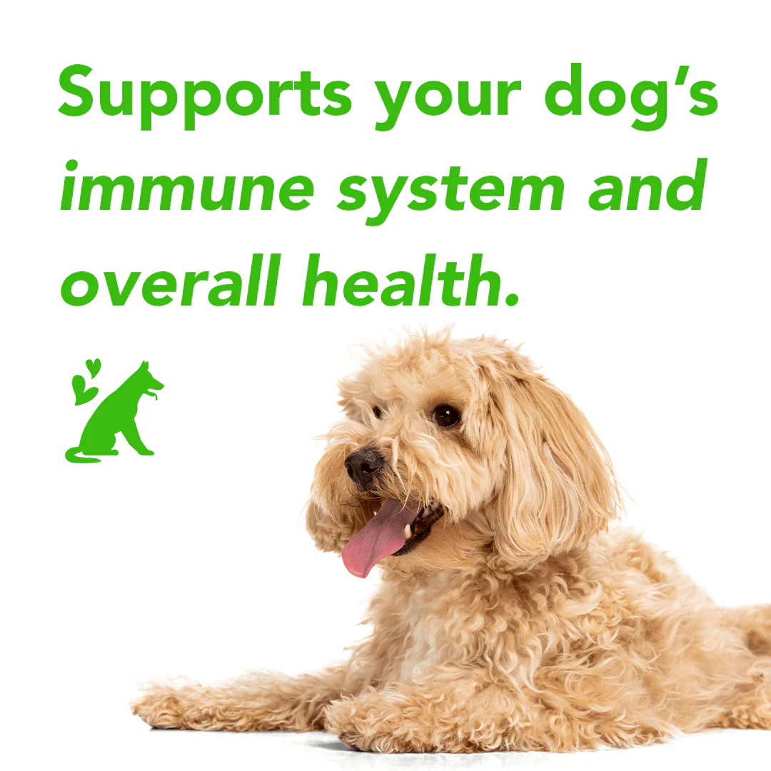 FurLife™ - All Natural Flea & Tick Defense Chews for Dogs - Image 6