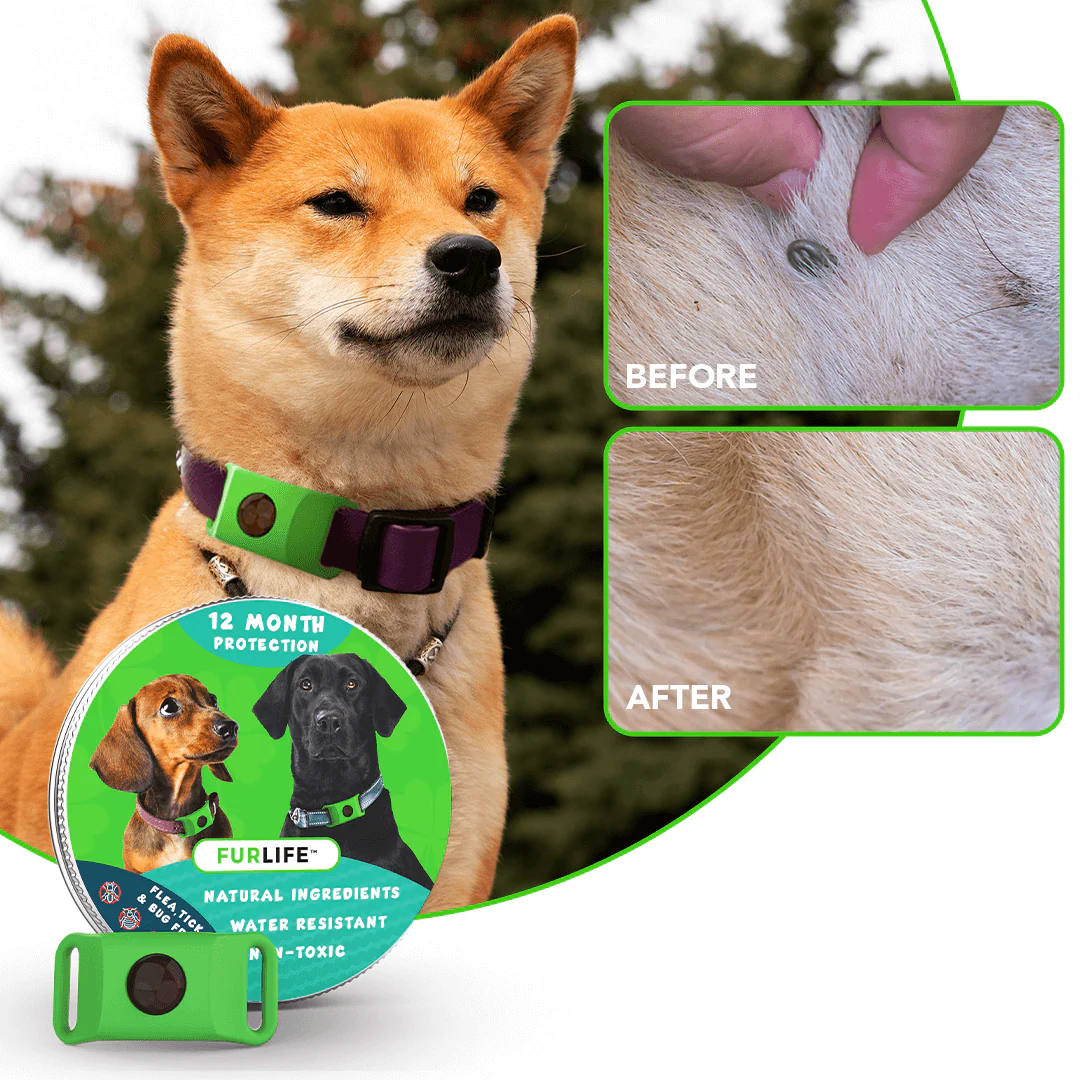FurLife™ 12 Months Flea and Tick Free - Image 2