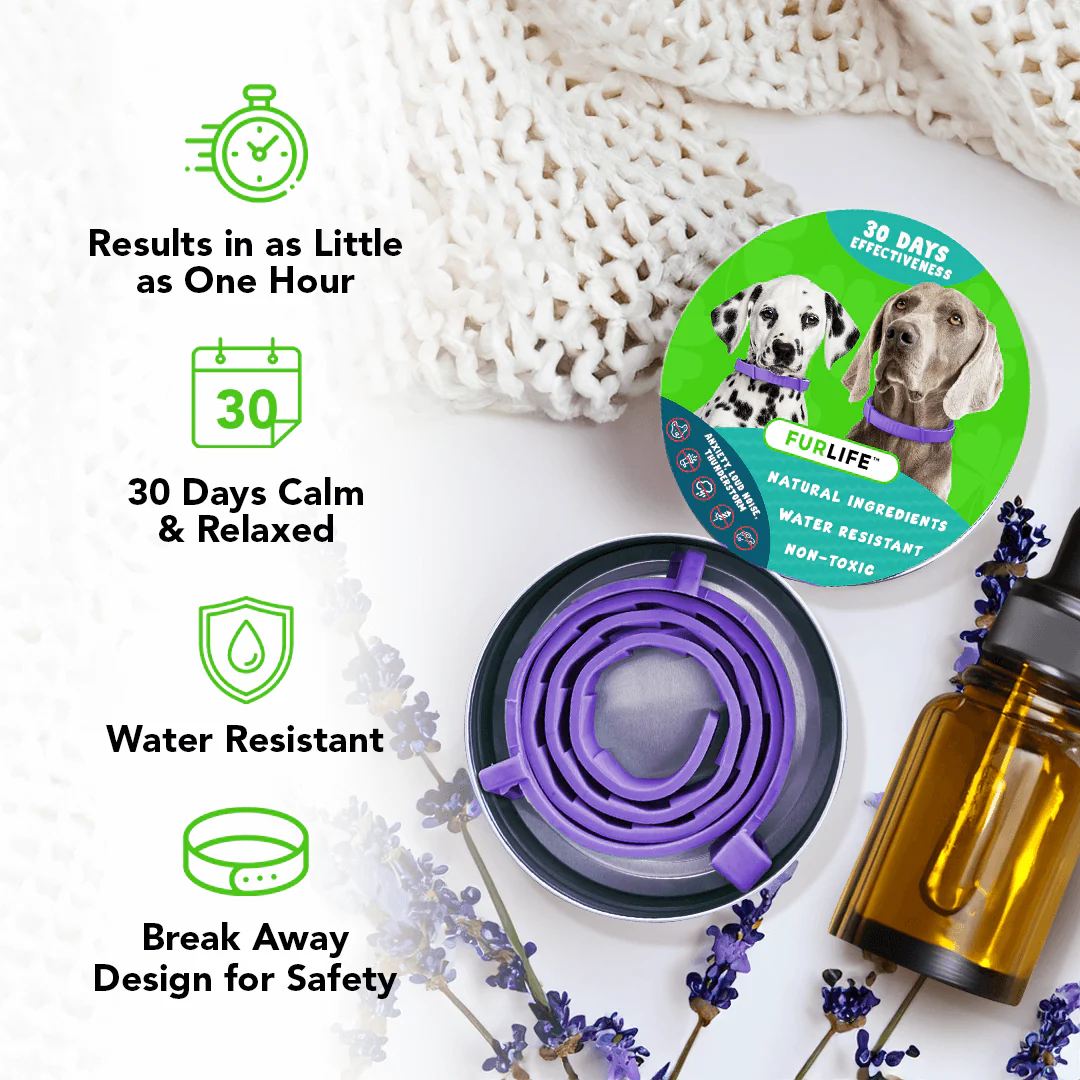 FurLife™ - Natural Pheromone Calming Collar - Image 3