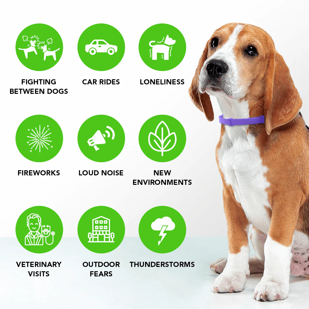 FurLife™ - Natural Pheromone Calming Collar - Image 4